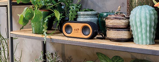 Bamboo X dubbele speaker