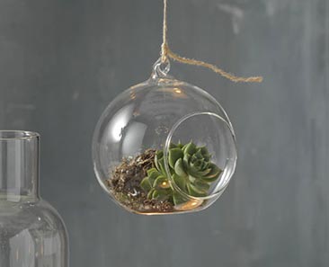 Sphere terrarium