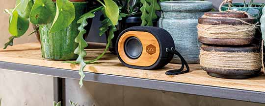 Bamboo X speaker